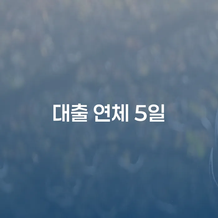 파산개인회생 빚독촉 어떻게 해야하는지