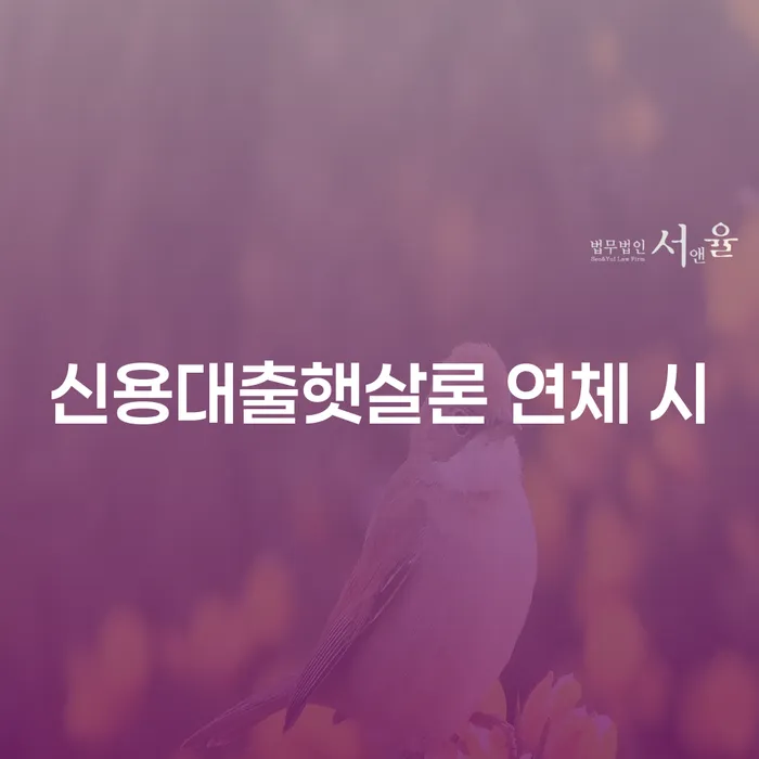 간이과세자대출 연체 시 개인회생 제도 체크해보세요