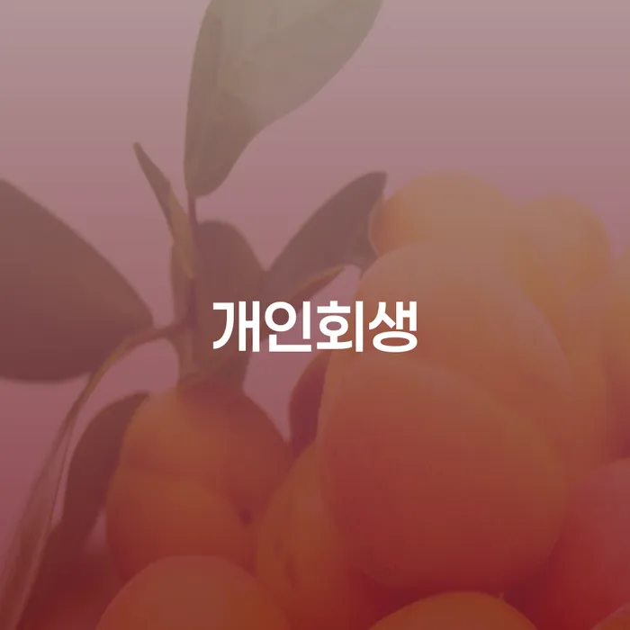보증채무금 개인파산 가능한지