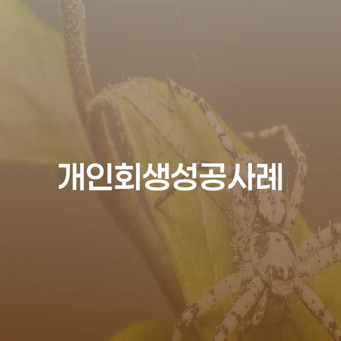 개인회생파산면책 대출 연체 개인회생 지식을