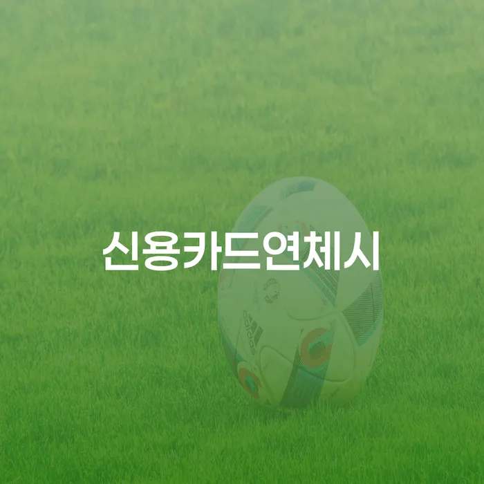 대부업체이자 연체 시 개인회생,개인파산으로 잘하기
