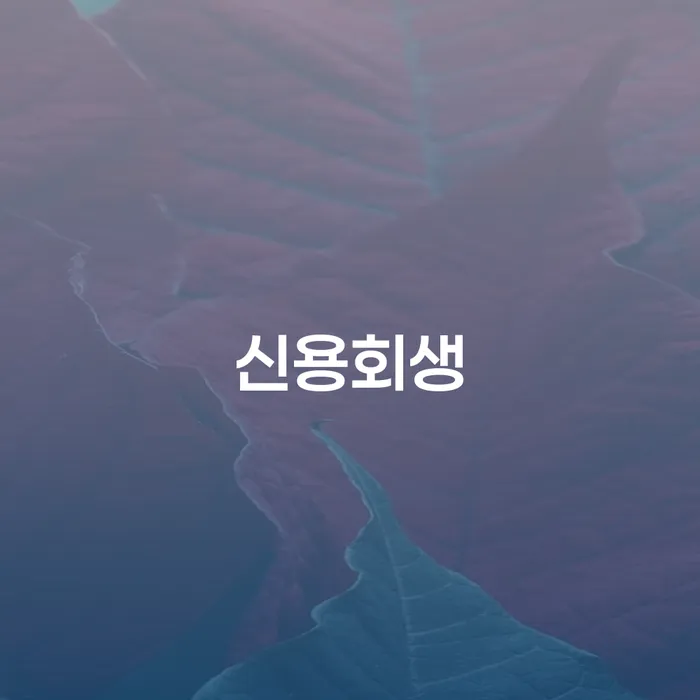 빚청산 개인회생으로 해결방법 최신정보