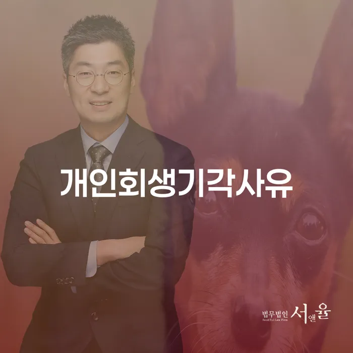 세종시 파산선고기일 빚독촉 성공은