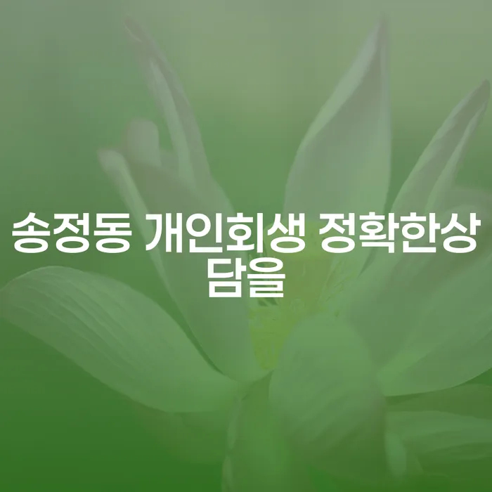 송정동 개인회생 정확한상담을