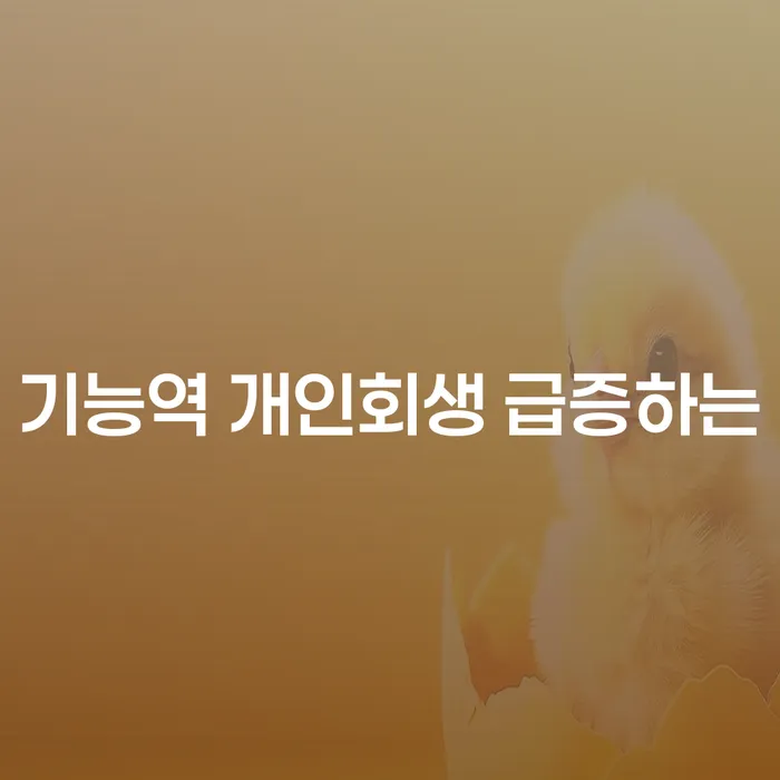 기능역 개인회생 급증하는