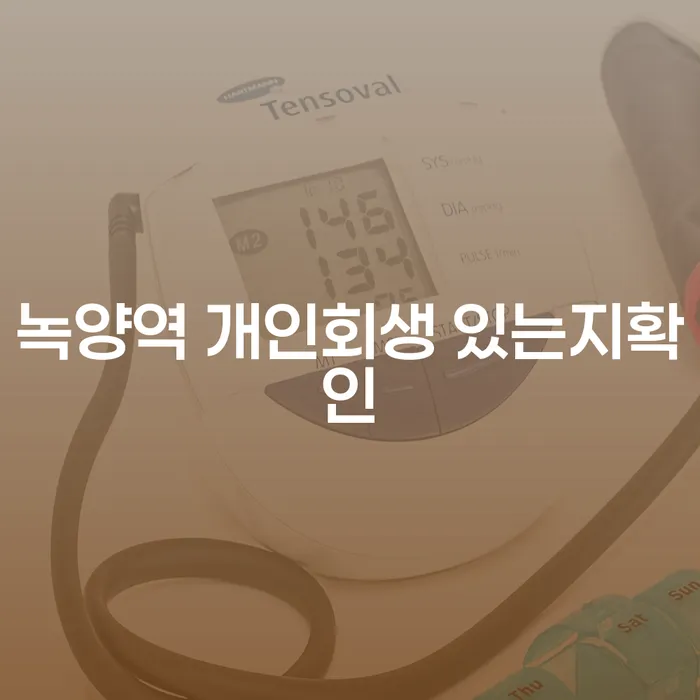 녹양역 개인회생 있는지확인