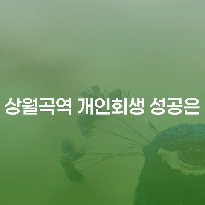 상월곡역 개인회생 성공은