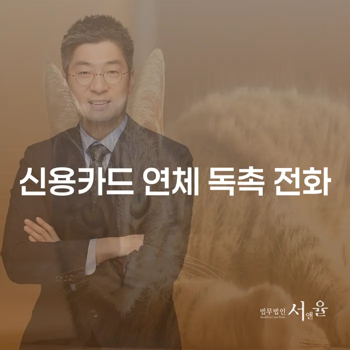 신용카드 연체 독촉 전화, 어떻게 대처해야 할까요?