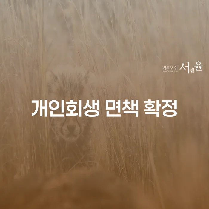 개인회생 면책 확정: 어떻게 준비하고 신용을 회복할 수 있을까요?