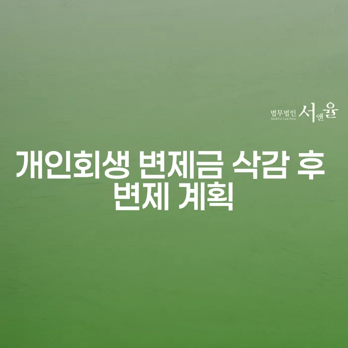 개인회생 변제금 삭감 후 변제 계획, 어떻게 세워야 할까요?