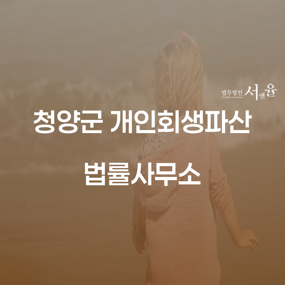 청양군 개인회생파산 법률사무소의 필요성 및 절차