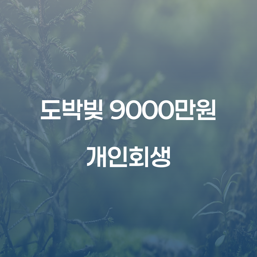 도박빚 9000만원 개인회생 방법과 사례