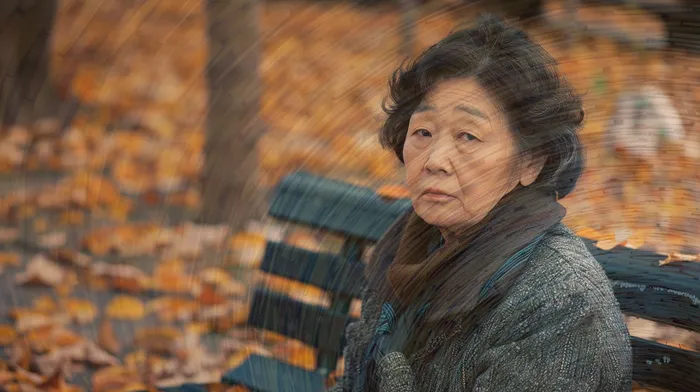 함평군 법률 서비스