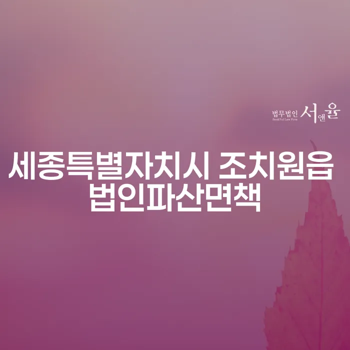 세종특별자치시 조치원읍 법인파산면책과 장애인파산, 어떻게 대처해야 할까요?