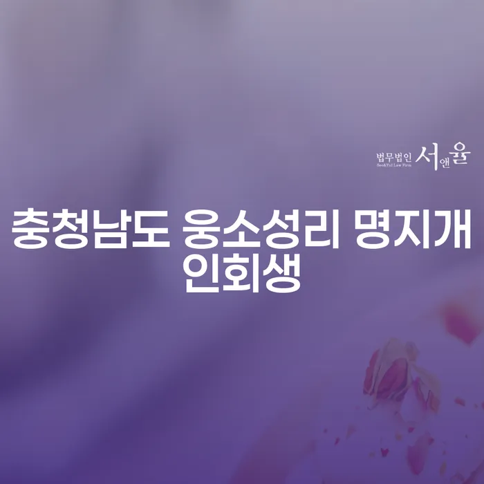 충청남도 웅소성리 명지개인회생을 통해 새로운 시작을 할 수 있을까요?