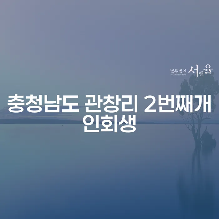 충청남도 관창리에서 개인회생을 두 번째로 신청하는 것이 가능할까요?